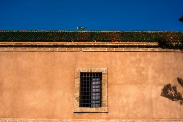 2024 03 19 Essaouira corners 5