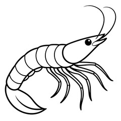 Shrimp Outline Vector