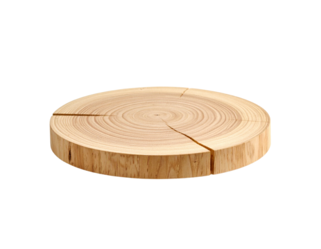  Wood round slice with small cracks and imperfections on white background  (2)