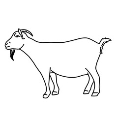 Goat line vector