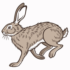 A Running Hare Illustration with Long Ears and Brown Fur Coat