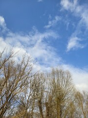 Spring Sky With Clouds Above Bare Trees