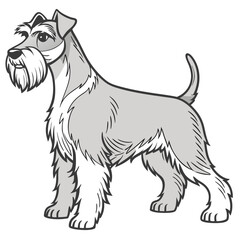 Cartoon Schnauzer Dog with Beard and Mustache Standing on White Background