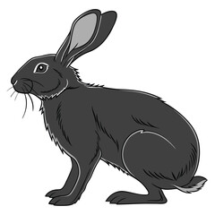 Detailed Illustration of a Black Hare with Large Ears and White Background