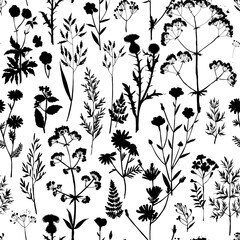 Seamless vector pattern with black silhouettes of wild meadow herbs and flowers. Botanical floral background for fabric, wrapping paper, eco packaging, wallpapers, and digital design.