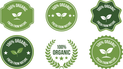 Collection of green organic labels with leaves and text elements
