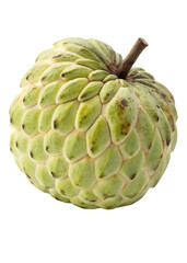 Fototapeta premium Custard apple with half cut