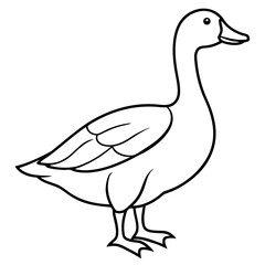 Simple Snow Goose Drawing