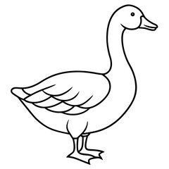Simple Snow Goose Drawing