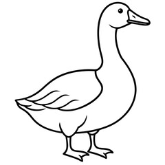 Simple Snow Goose Drawing
