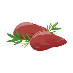 Vector illustration of chicken liver, raw fresh with green rosemary lush green leaves, on white background
