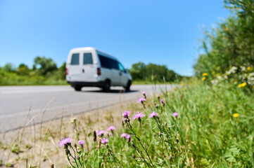 A van travels along a peaceful rural highway lined with vibrant wildflowers in full bloom under...