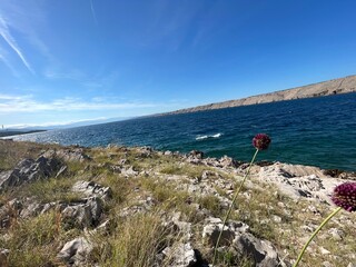 Urlaub, Kroatien, Insel, Krk