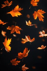 Falling orange maple leaves on dark background in warm light, symbol of autumn and seasonal change