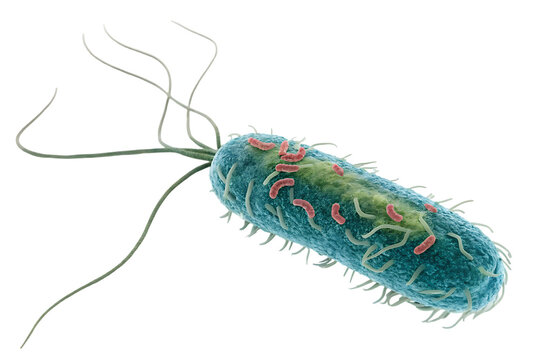 Microscopic Blue Bacteria Cell

