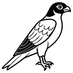 Sparrowhawk Vector Outline