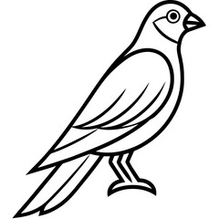 Sparrowhawk Vector Outline