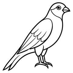 Sparrowhawk Vector Outline