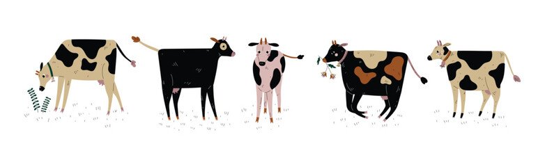 Cow with Udder and Bell Grazing on Pasture as Dairy Cattle Breeding and Farming Vector Set