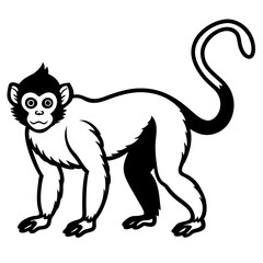 Spider Monkey Ink Line Art