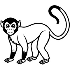 Spider Monkey Ink Line Art