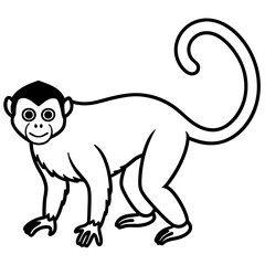 Spider Monkey Ink Line Art