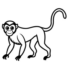 Spider Monkey Ink Line Art