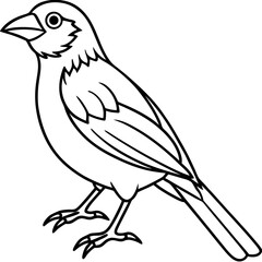 Weaver Bird Silhouette Vector Drawing