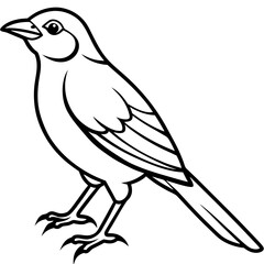 Weaver Bird Silhouette Vector Drawing