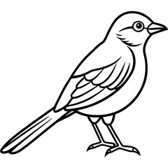 Weaver Bird Silhouette Vector Drawing