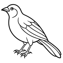 Weaver Bird Silhouette Vector Drawing