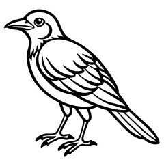 Weaver Bird Silhouette Vector Drawing