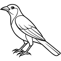 Weaver Bird Silhouette Vector Drawing