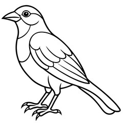 Weaver Bird Silhouette Vector Drawing