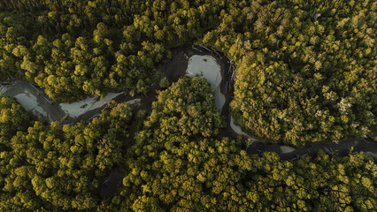 Aerial view of Pleasant River snaking through forest, Maine