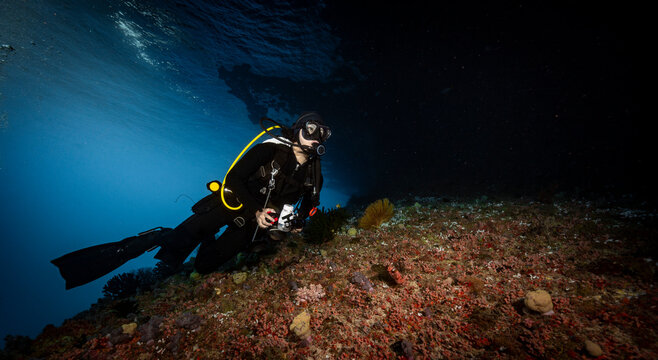Scuba diver exploring an underwater cavern in Raja Ampat
