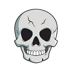 Detailed illustration of a human skull with prominent cracks and sharp teeth presented on a clean white background