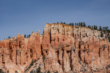 Claron Formation (Tcp) Pink member, ; weathers into picturesque cliffs, columns, spires, and...