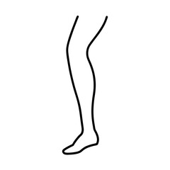 Leg Outline Line Art Vector Drawing