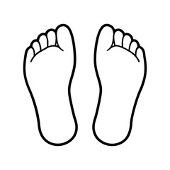 Toes Anatomy Line Art Drawing Vector