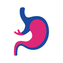 Stomach Color Vector Drawing Set