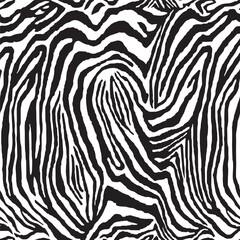 seamless pattern with zebra