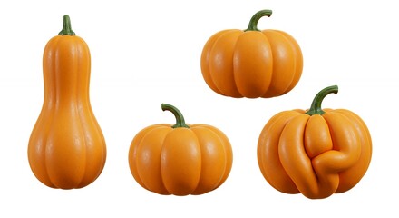Variety of pumpkins on white background