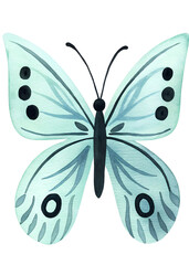 Watercolor butterfly illustration on transparent background.