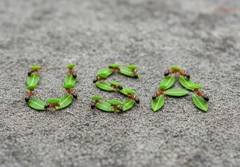 The Letters USA Made of Ants for a 4th of July a Creative US Independence Day Nature Concept