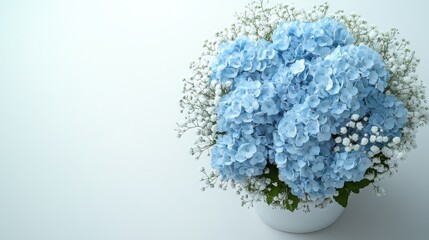 Fresh light blue hydrangea bouquet with gypsophila in a round milk carton on a white background