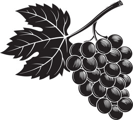 Black silhouette of bunch of grapes with stem, vector fruit icon symbol for vineyard, wine, harvest, organic food, nature, healthy eating, agriculture, botanical, and fresh produce

