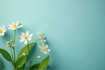 A bouquet of white flowers sits atop a table, perfect for decorating or photography