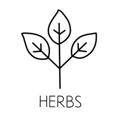 Organic Supplement icon vector