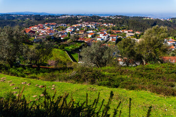 Obraz premium A picturesque village nestled among rolling hills and lush greenery